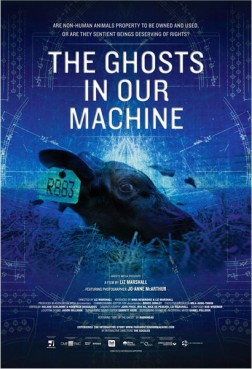 The Ghosts in our Machine (2013)